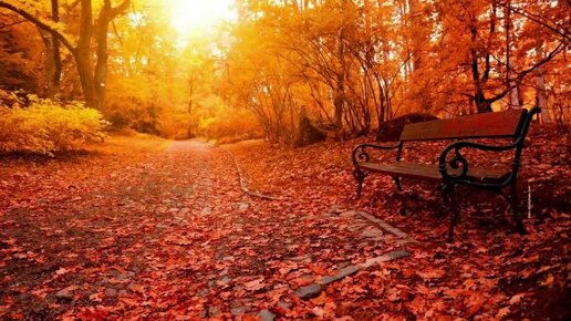 осень была красива. осенняя пора. красавица осень. осень была красива. сказочная женщина осень.