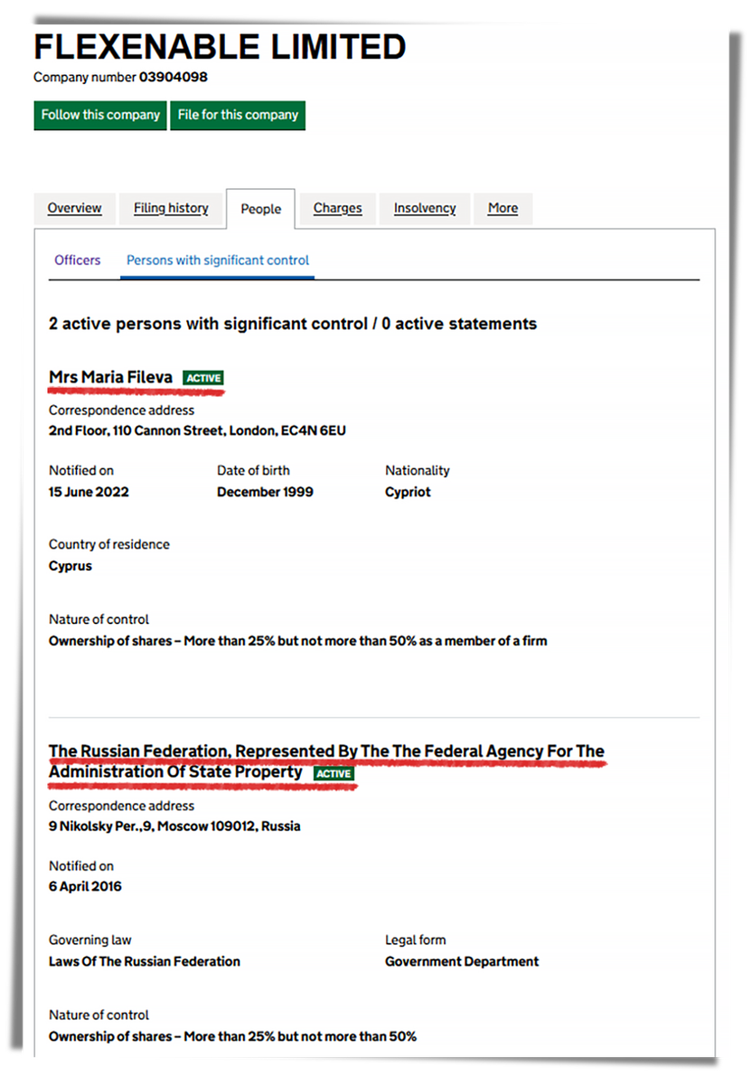 Скриншот из британского реестра юридических лиц.