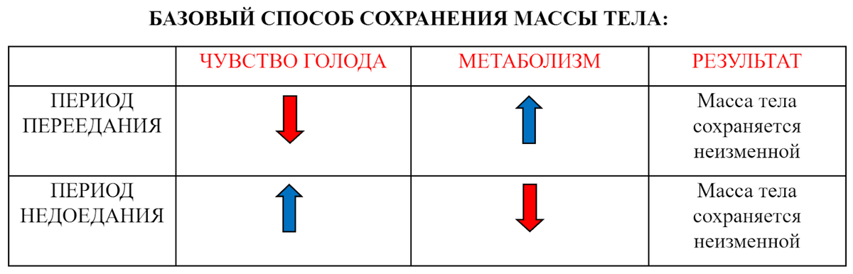 Базовый способ сохранения массы тела