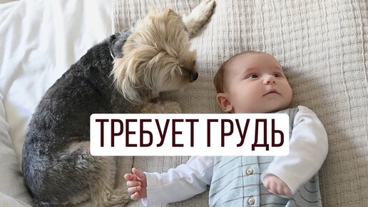 Шапка для ютуба. Шапка приложения. Шапка для канала. Шапка для ютуба. Шапка аватарка.