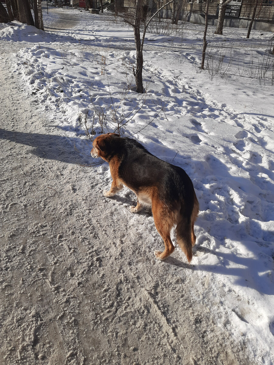 идем в магазин