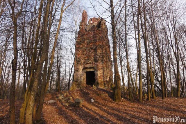   Фото: Prussia39.ru