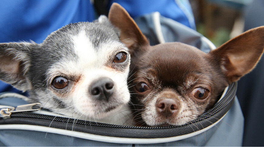    Фото из архива