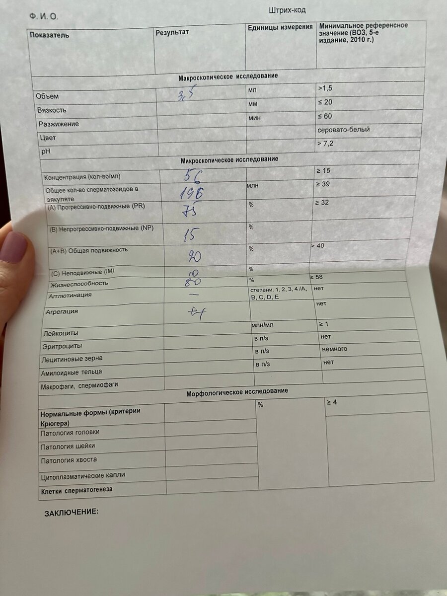 Мазок на морфологию сушится