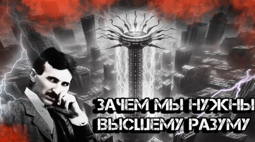 «Мы не помним наши прошлые жизни, но это не наказание»: В сети опубликовали еще одну часть интервью Николы Теслы