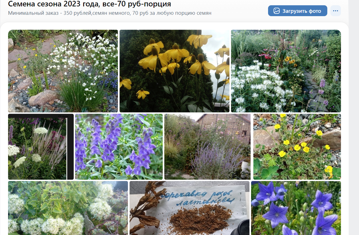 из альбома продаж