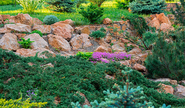    Альпийская горка. Фото: shutterstock.com