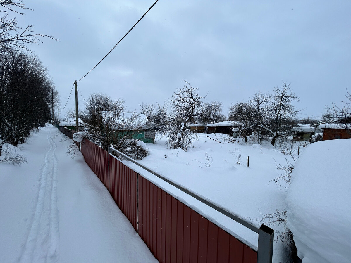 Участок меньше 6 соток. Участок меньше 6 соток. Участок меньше 6 соток. Ландшафт на даче. Ландшафт приусадебного участка.