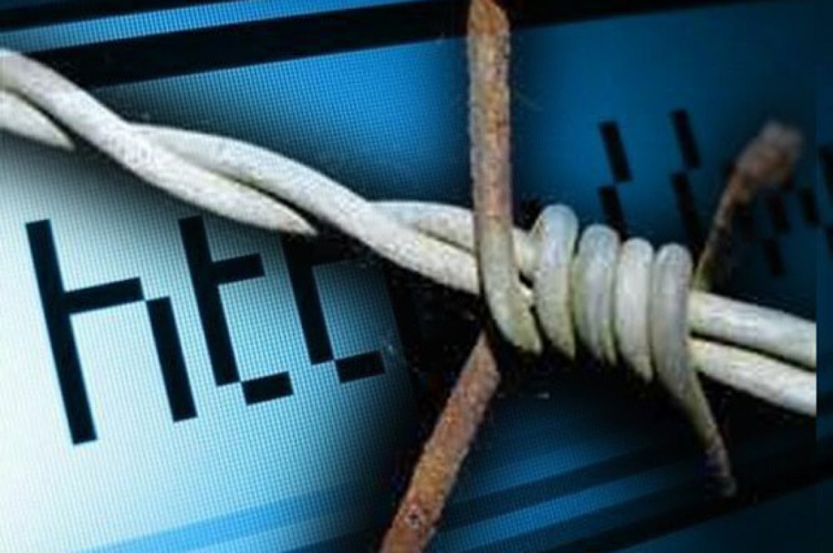    На Дону за призывы к экстремизму в соцсетях осудили двоих мужчин