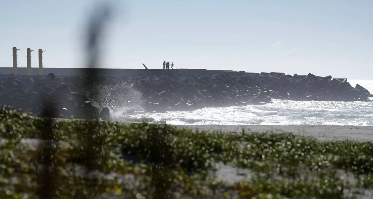 Фото: РИА "Новости" (https://cdnn21.img.ria.ru/images/07e7/08/18/1891908561_0:0:3072:1728_640x0_80_0_0_abb64e71063b63a5387bd635fa9b9058.jpg.webp)