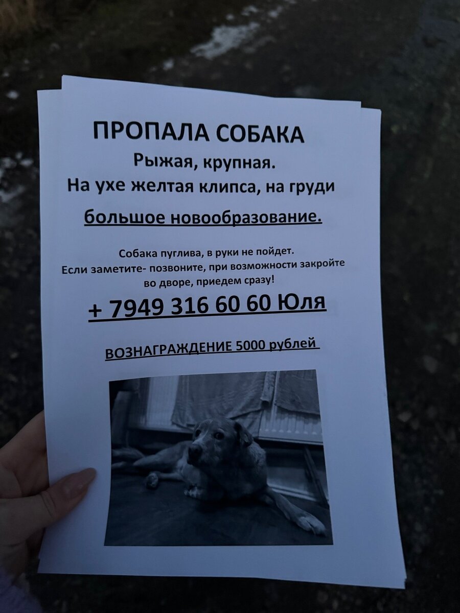 Вот такие объявления расклеили работники "ПиФа"