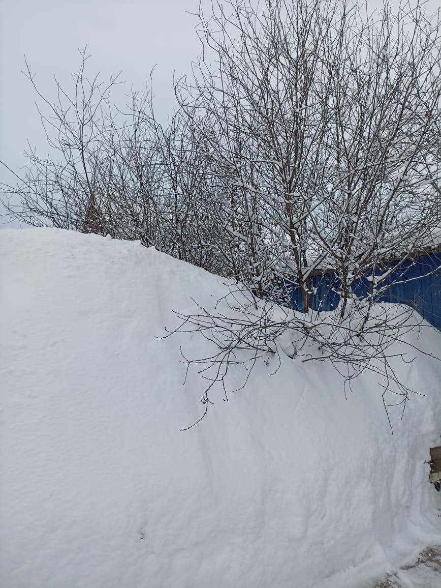 Соседская гора. Фото автора