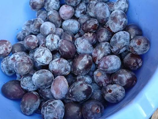 2 простых продукта, которые блокируют ангиогенез раковых клеток и улучшают работу печени, но мало кто об этом знает