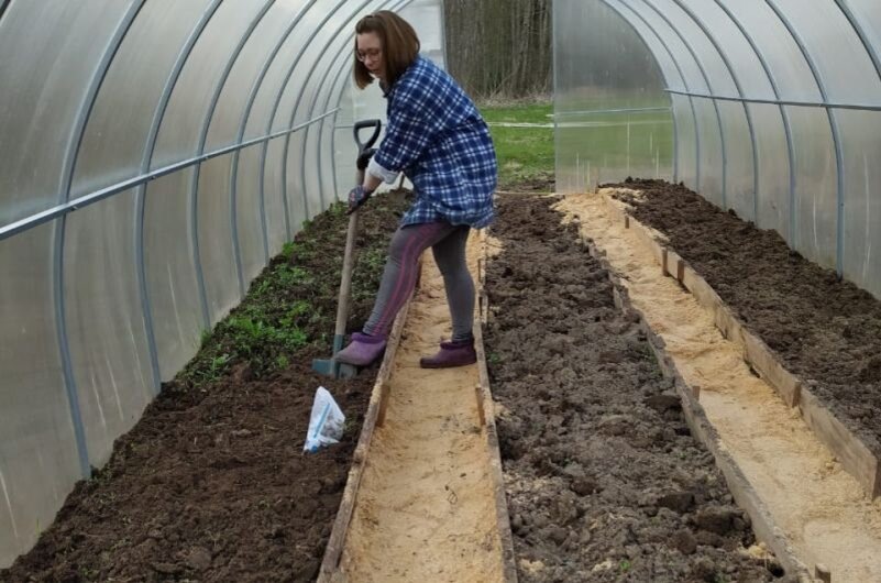 Какие удобрения вношу на грядки в теплице весной для большого урожая