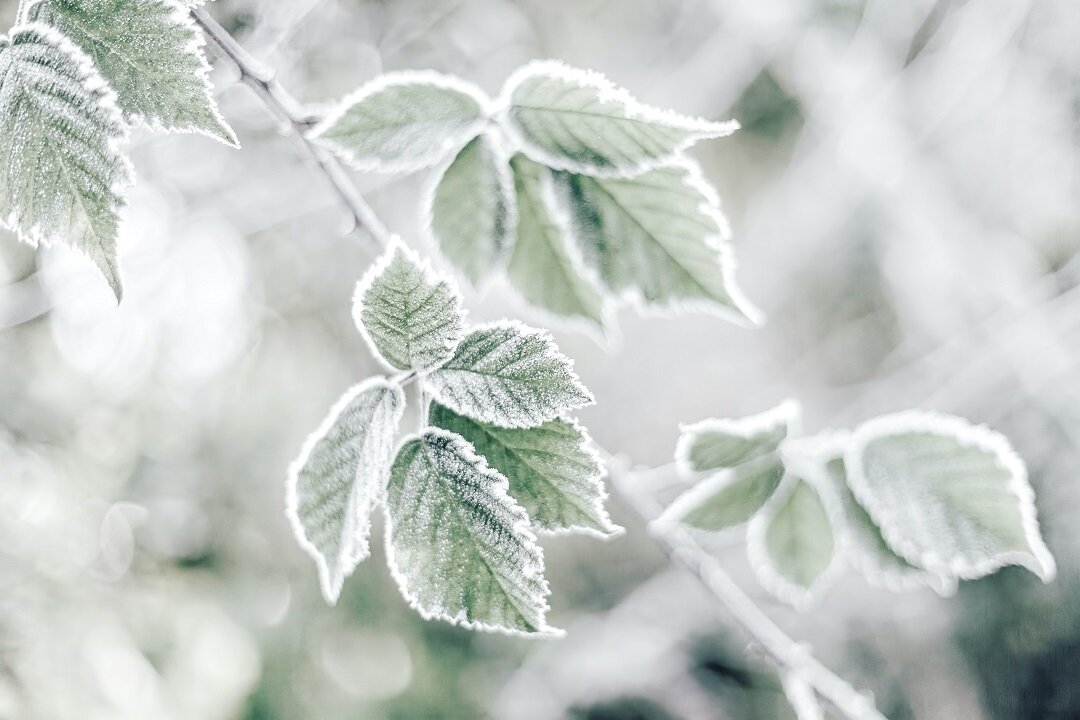 Источник: https://unsplash.com/