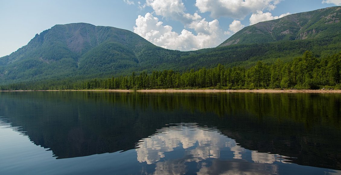    Фото: ru.m.wikipedia.org