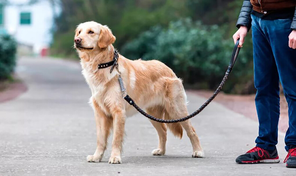Ты со мной. Давай встречаться. Нескем гулять. С друзьями почему не гуляешь. С друзьями почему не гуляешь.