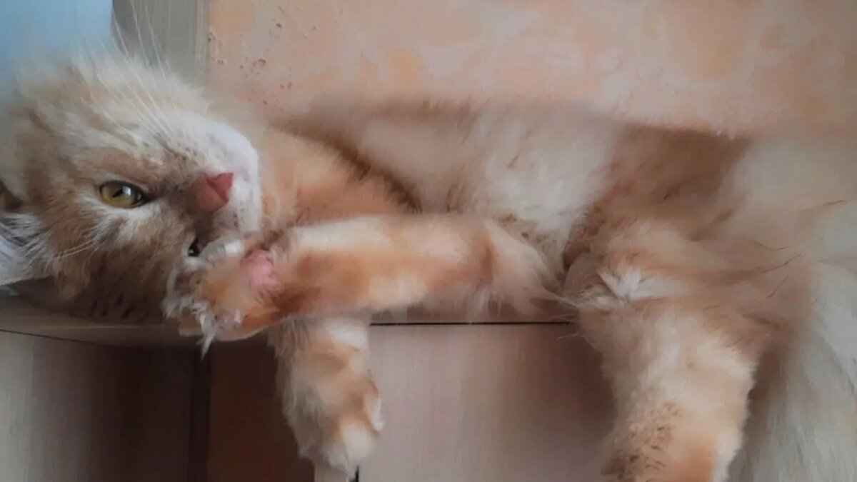 Фото автора.