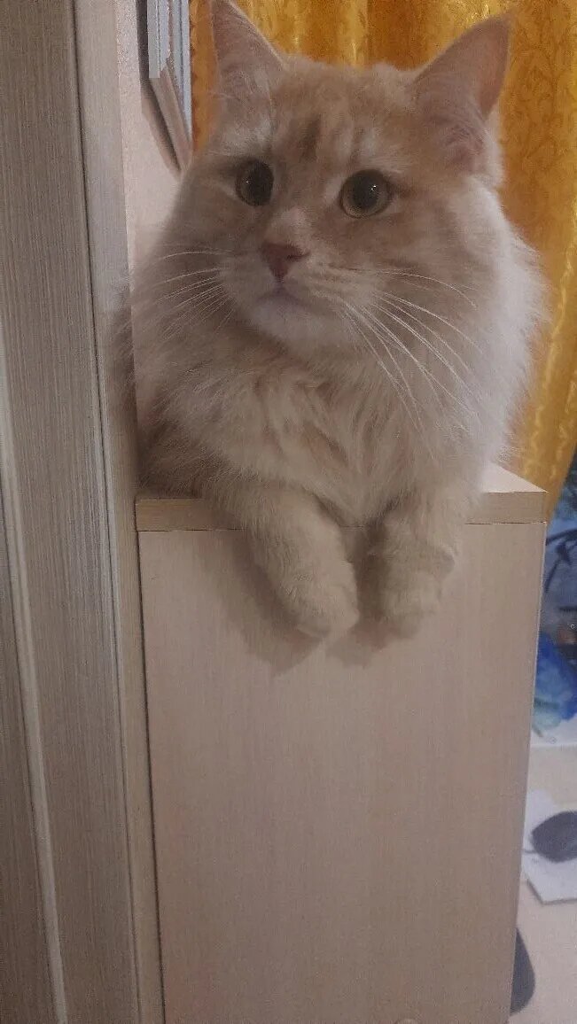 Фото автора.