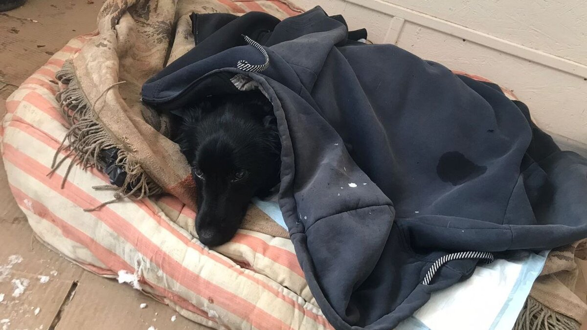 одежда благо. польская фирма женской одежды olmar. мари файн. одежда женская массмаркет. женская одежда из турции розница.