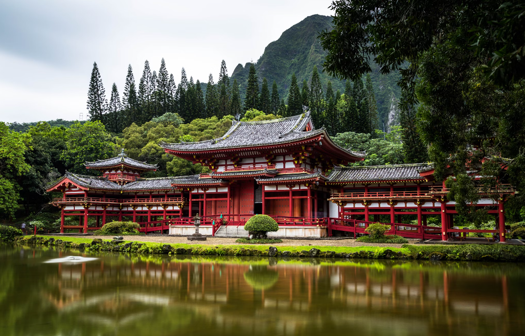 Фото с сайта unsplash.com