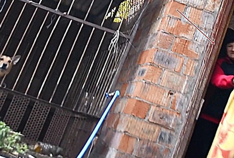 Женщина не хотела, чтобы ее нашли 