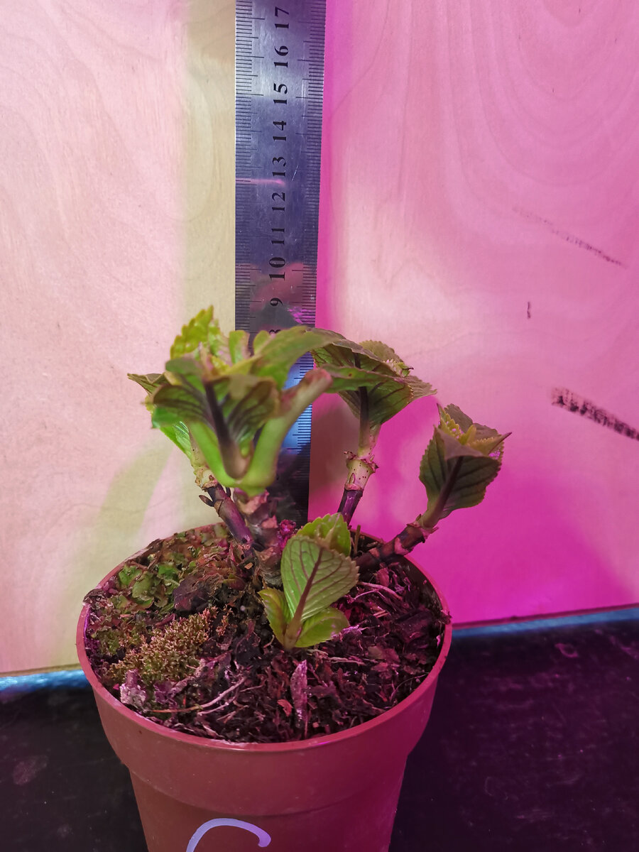 Листайте галерею