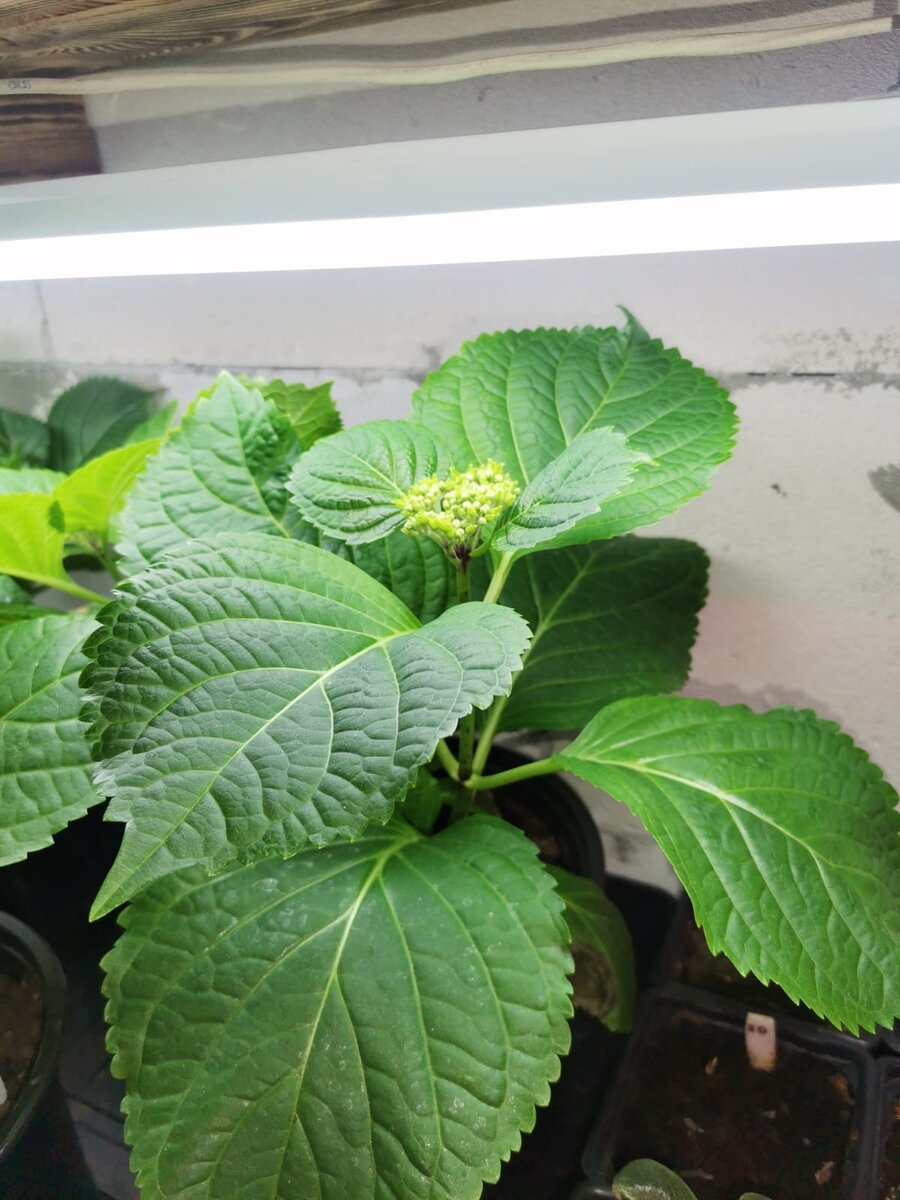 Листайте галерею