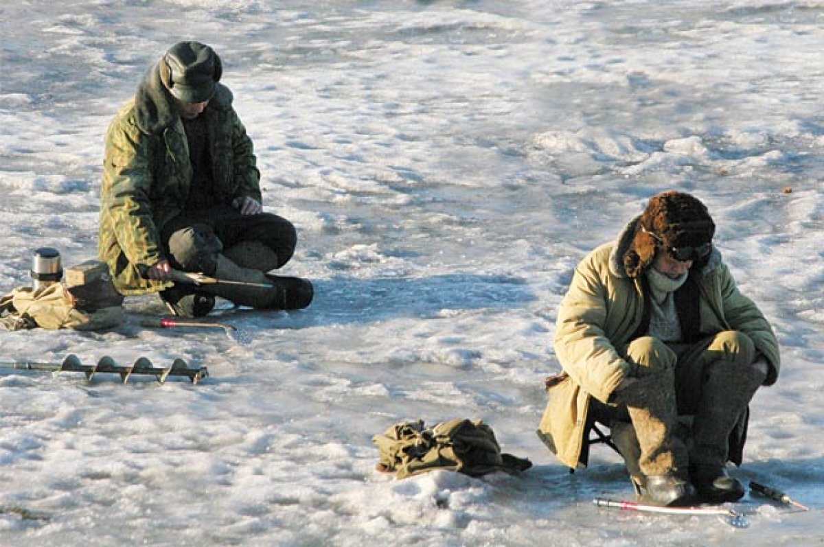 загрязнение прибрежной зоны моря в крыму. добыча рыбы. горе море рыба. экологическая катастрофа на реке рейн. много рыбы.