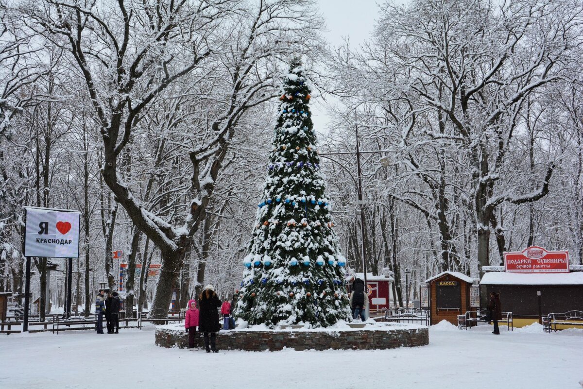 Зимний Краснодар