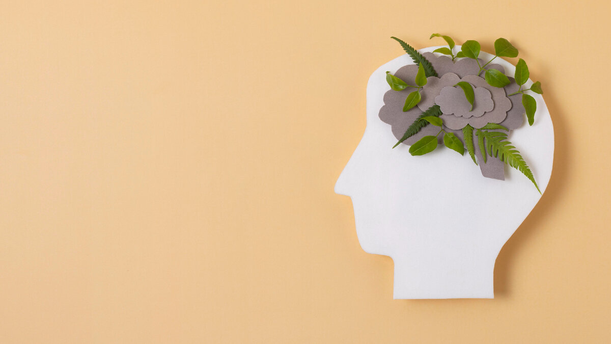 Разработано Freepik 