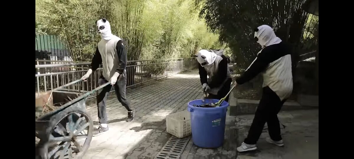 Кадр из документального фильма "Большое путешествие больших панд". 