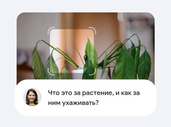 Примеры ответов ИИ на вопросы