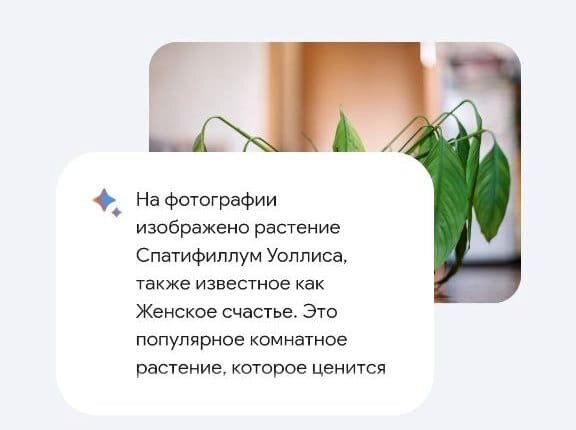 Примеры ответов ИИ на вопросы