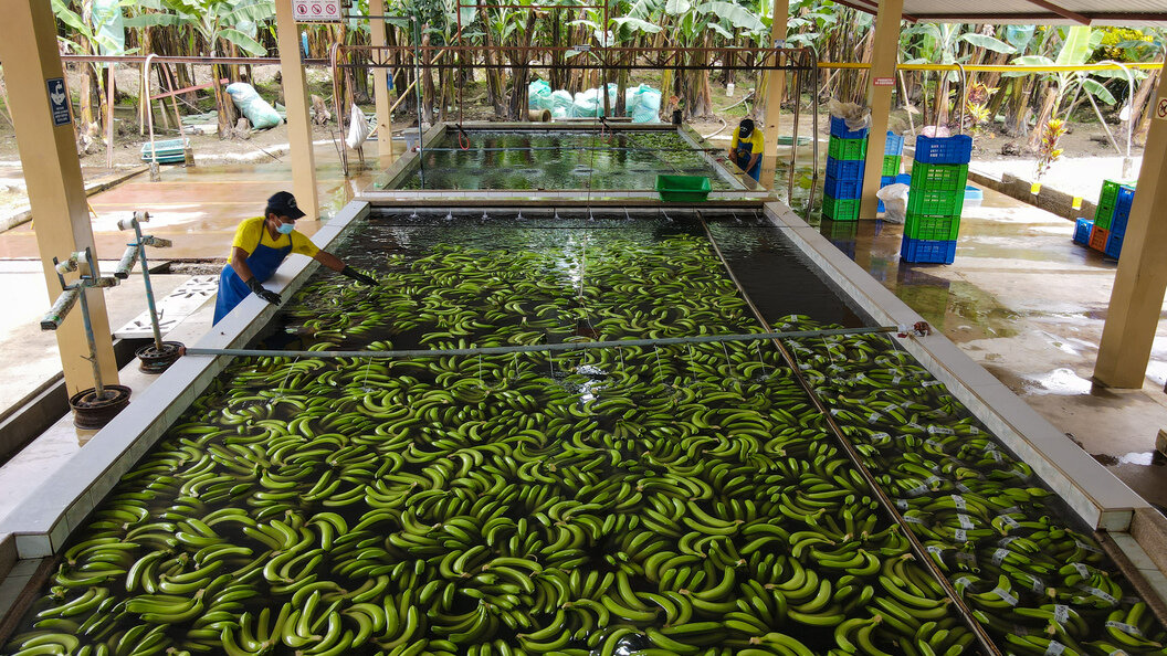    Фото: globallookpress.com