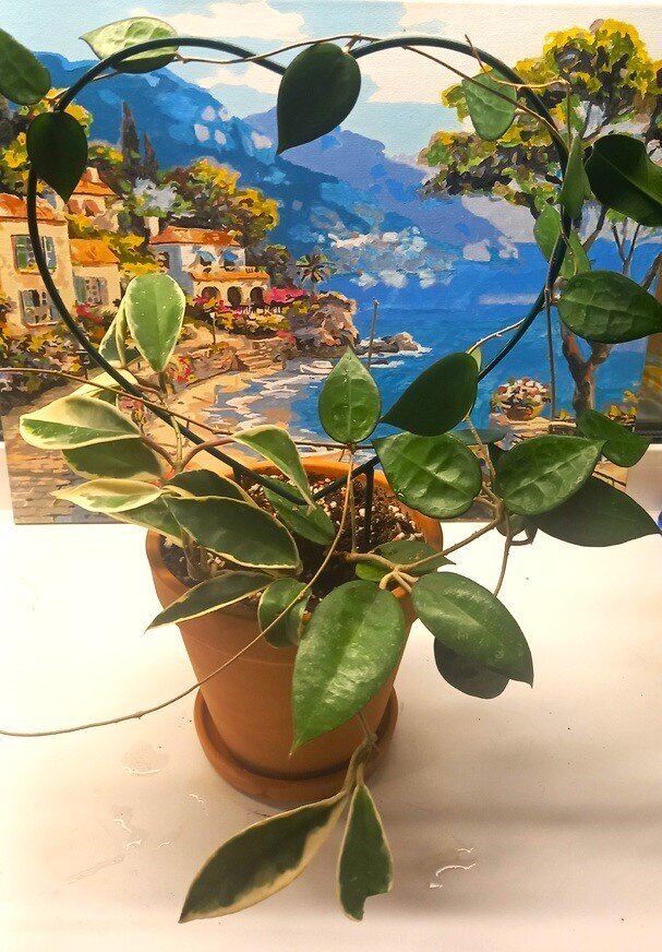 Виновницы этот статьи.