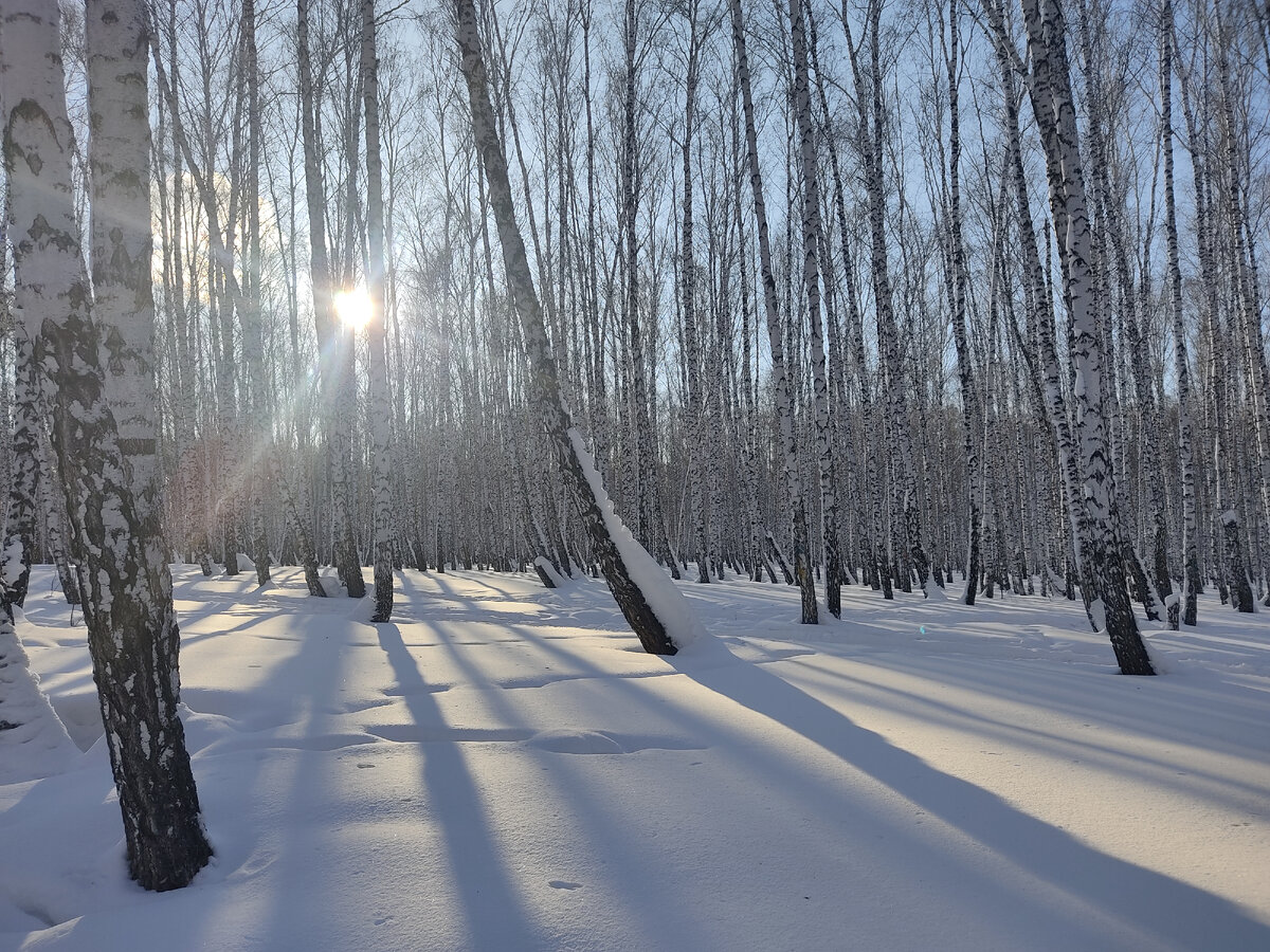 Дневной променад