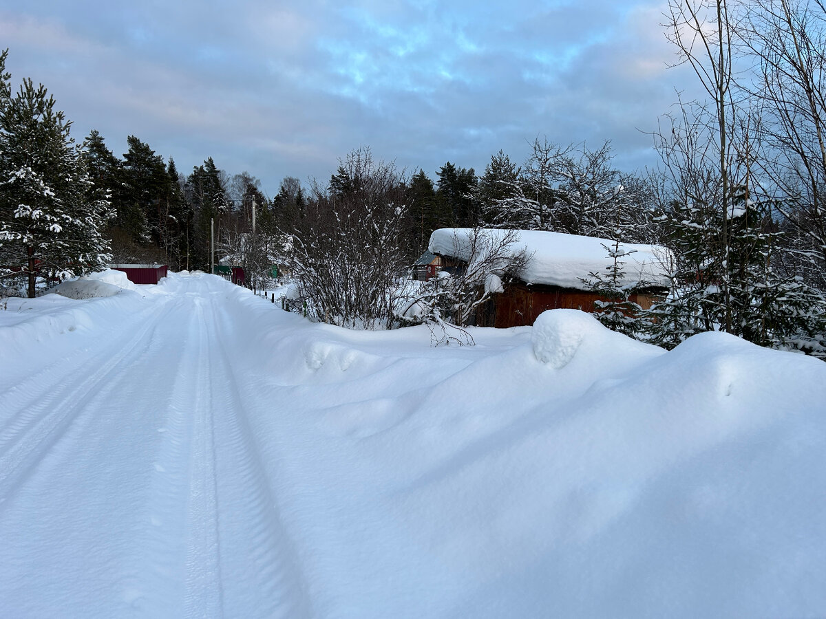 деревня трубино щелковский район. участок 9 соток. участок 9 соток. 1,5 сотки земли. участок 9 соток.