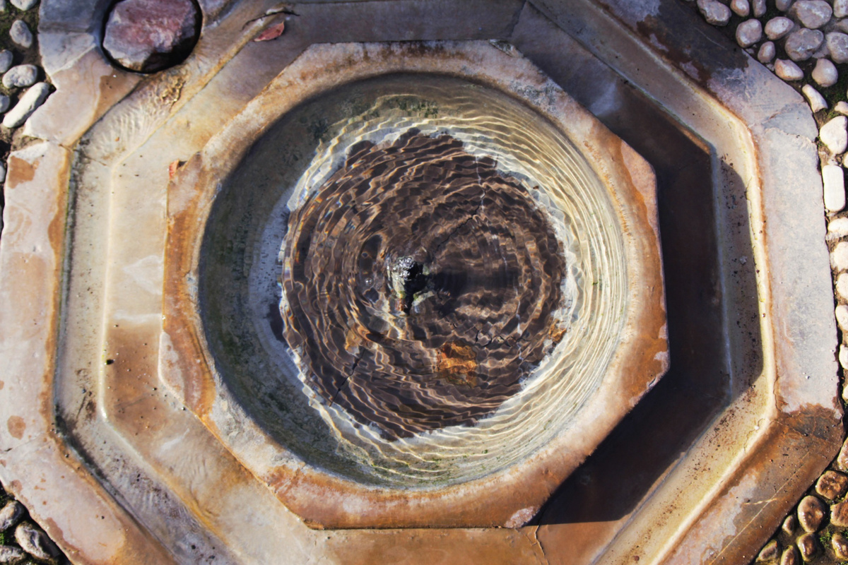 Фото: BiZkettE1 /Freepik