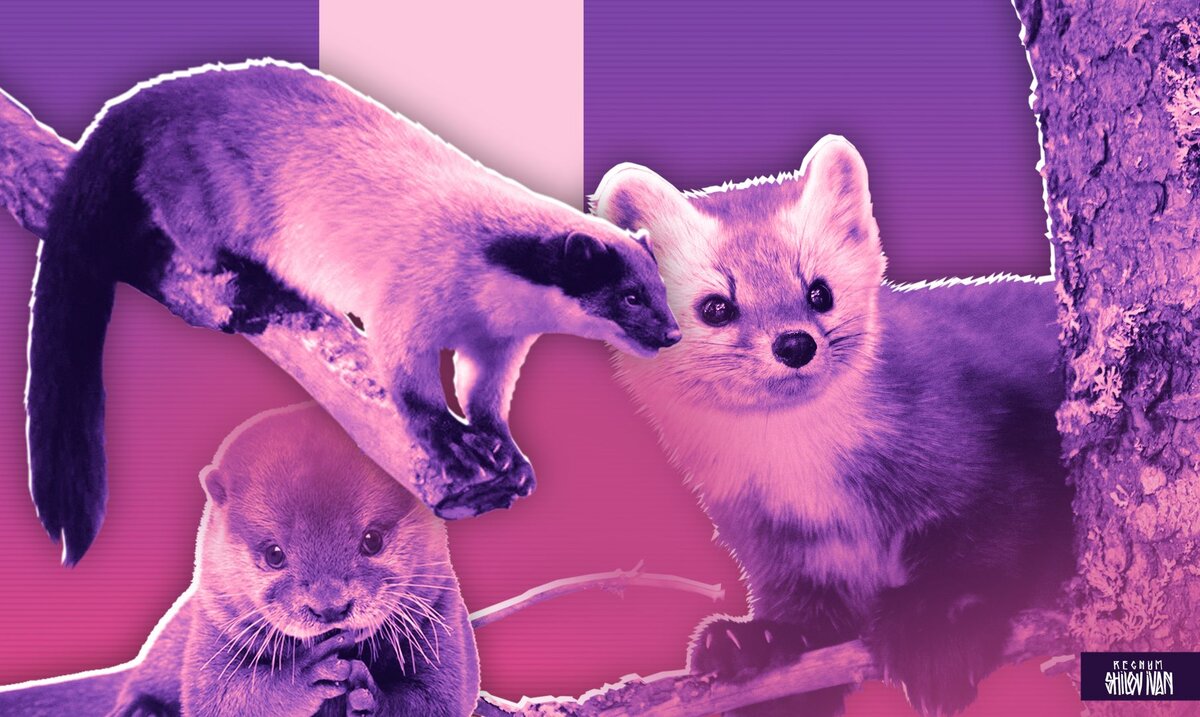    Иван Шилов (с) ИА Регнум