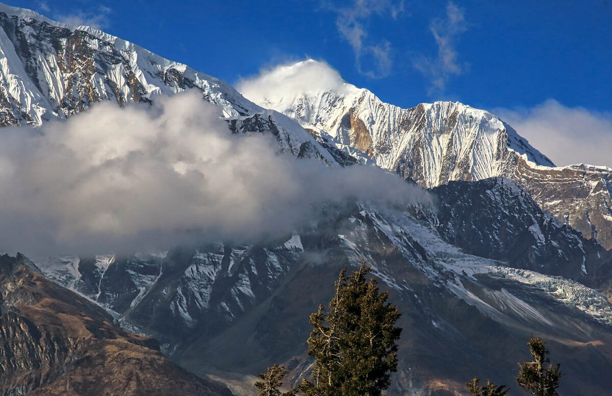 Непал Гималаи. Непал Лабиринт Гималаи. Гималаи Аннапурна осень. Арбуда Гималаи. Гималаи род