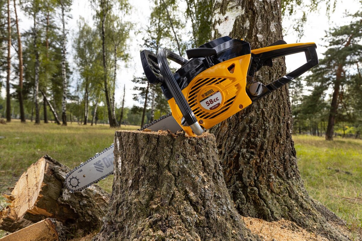 Экономия, как концепт ответственного потребления, по сути перераспределение денежных средств в пользу более важных статей расходов. При этом, уровень жизни остается прежним или повышается.-12