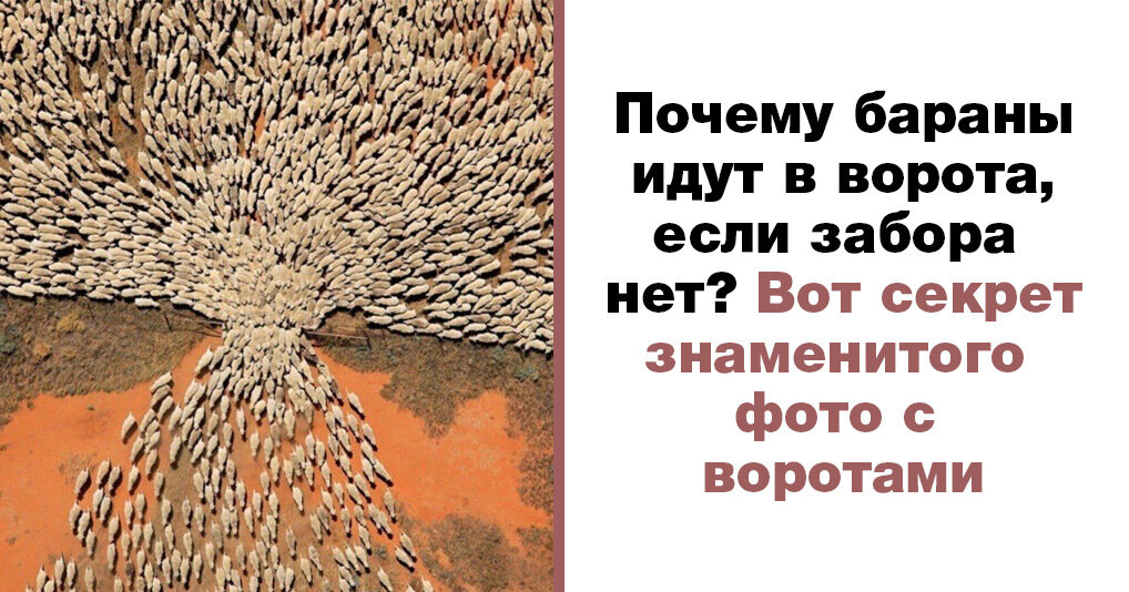 Привычка что он там был , рефлекс , не хочу думать о вариантах , есть проверенная схема ! 