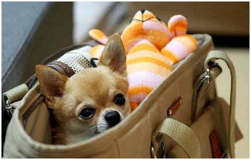 На выход с вещами!