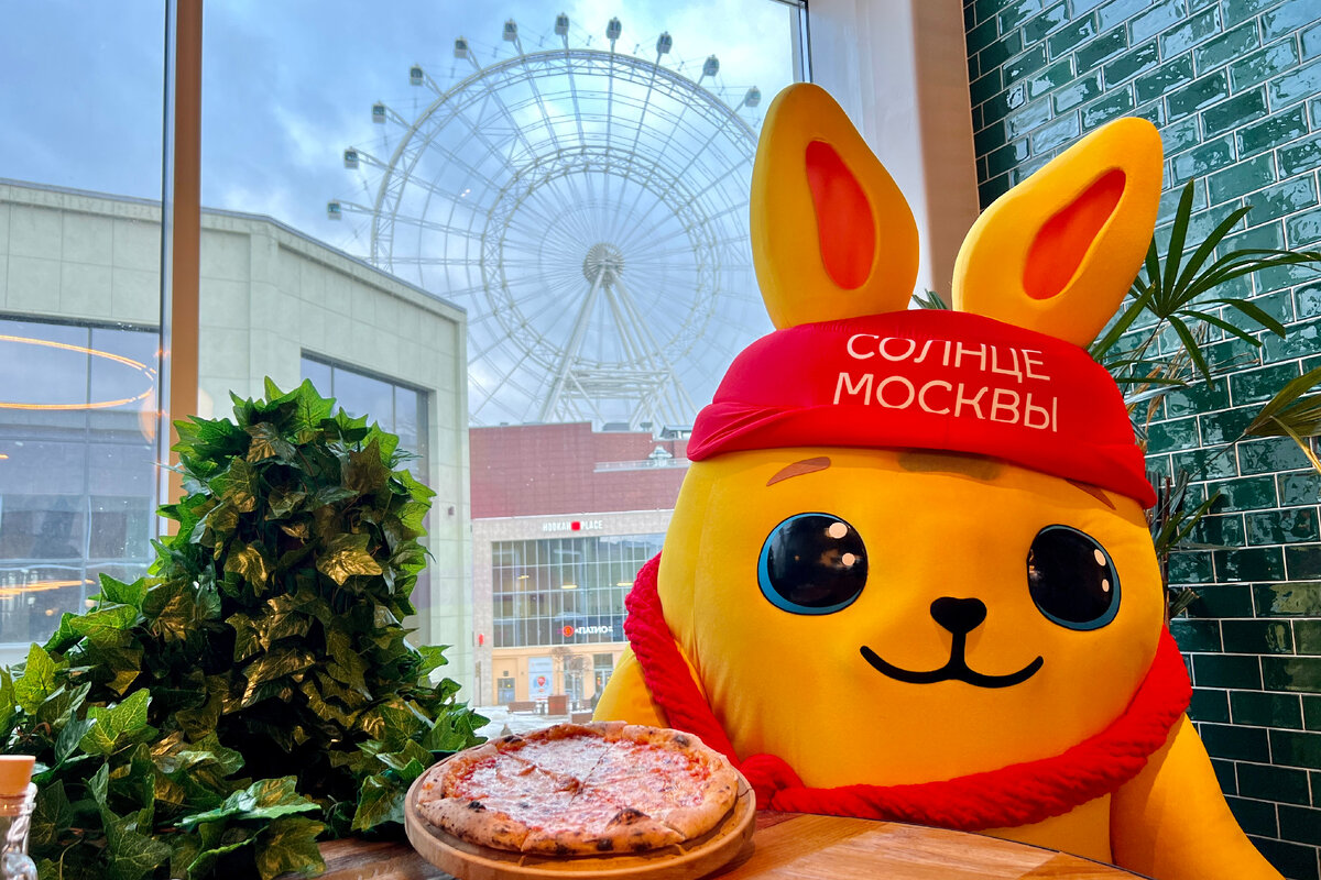 молодежные движения рука. Crying suns. Crying suns обзор. булетшторм. игра crying suns на андроид.