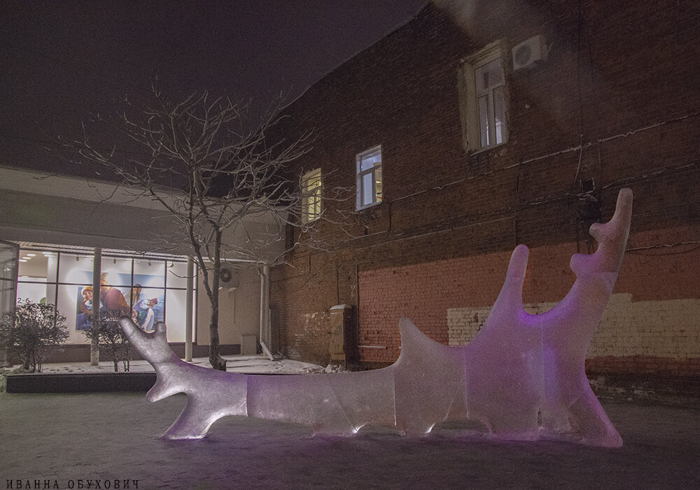 Фото Иванны Обухович