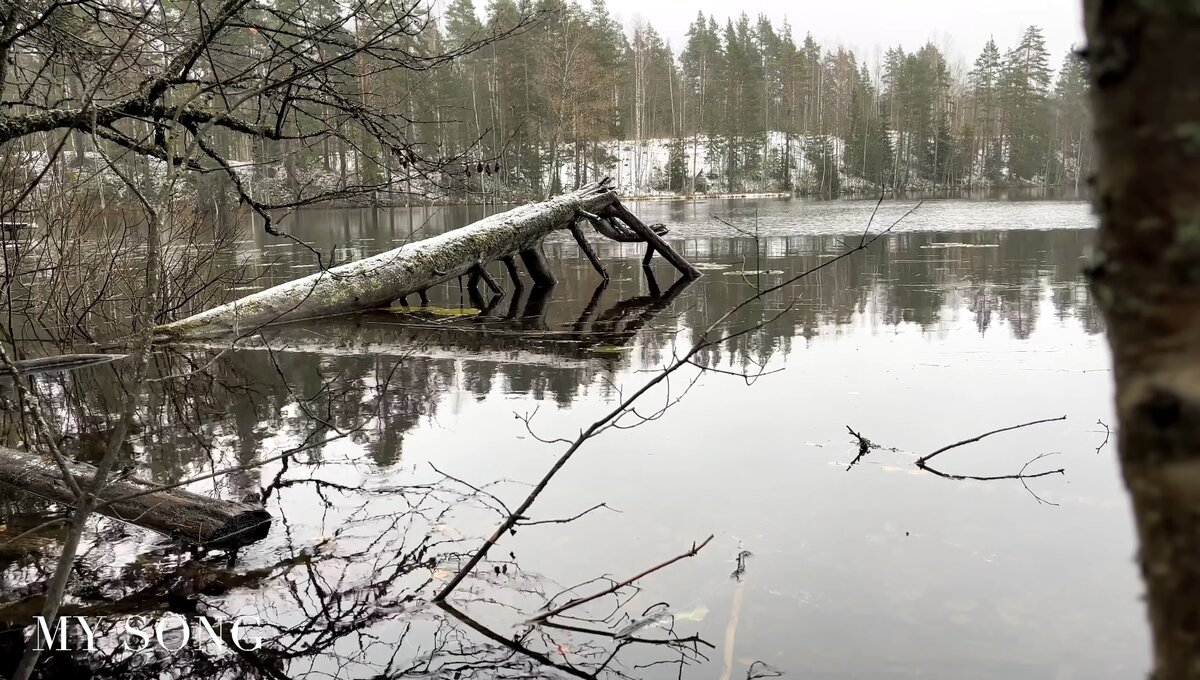 Глухое карельское озеро