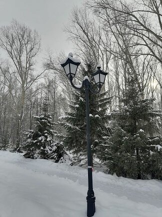 Фотография из личного архива автора