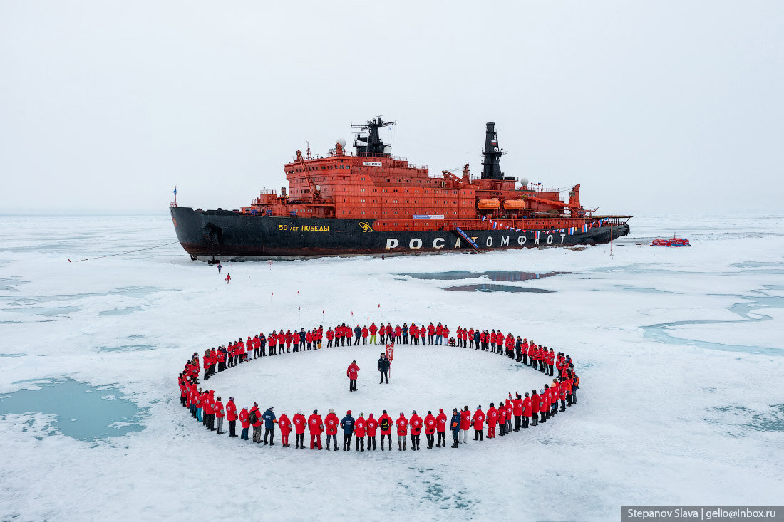 бурый медведь альбинос веня. размножение медведей. бурый медведь альбинос. северный полюс белые медведи. водятся на камчатке белые медведи.