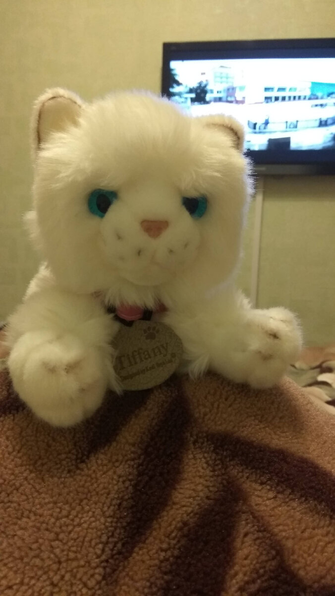 Вот наша Тиффани))) 